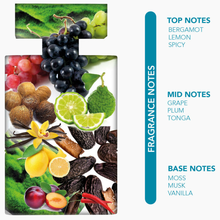 NYLAA MODERN EDP 100 ML CATALOGUE 1