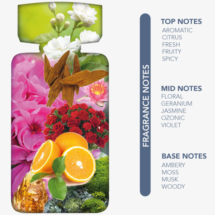 NYLAA MODERN EDP 100 ML CATALOGUE 3 d8bbd410 4749 4420 8168 1c9f3647531e 1