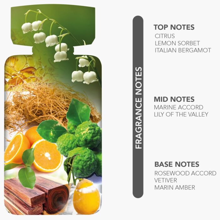 NYLAA MODERN EDP 100 ML CATALOGUE 7596e9f0 849f 46fa a39f e952ccccc394 1